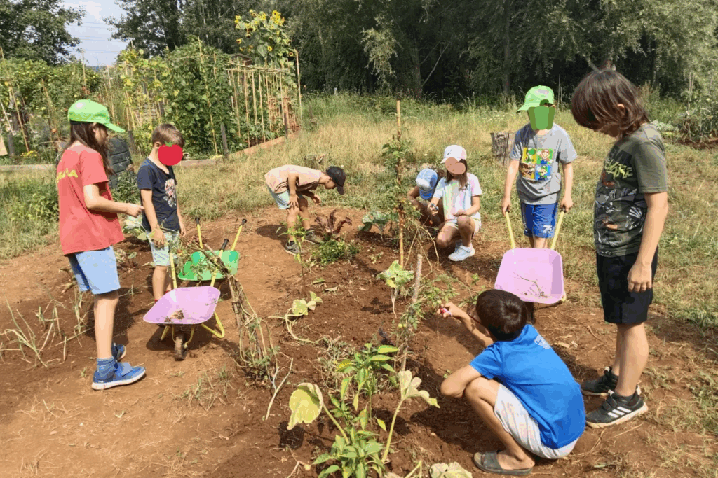 educacion-ambiental-campamentos-taxus-1