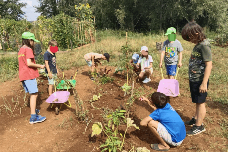 educacion-ambiental-campamentos-taxus-1
