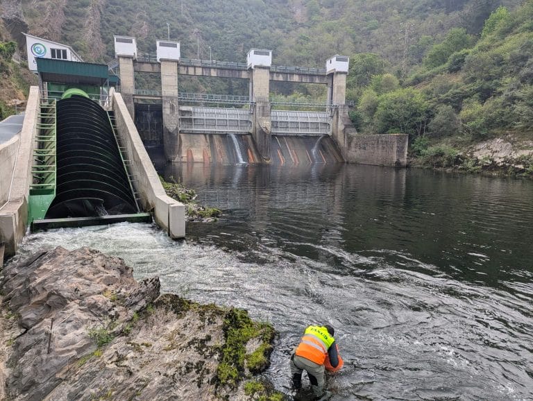 Seguimiento ambiental hidrotornillo río Narcea