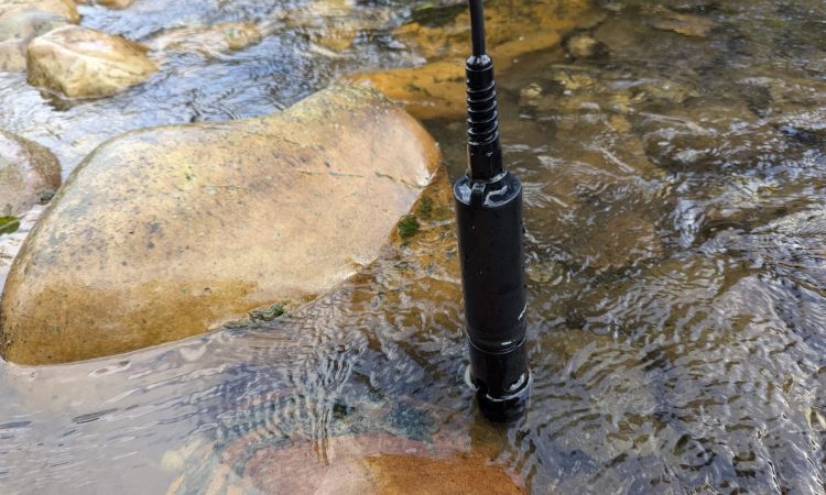 PXL_20240924_071659547.MP