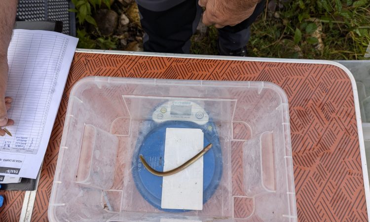 PXL_20240924_083749490