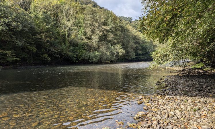 PXL_20240924_090647897.MP