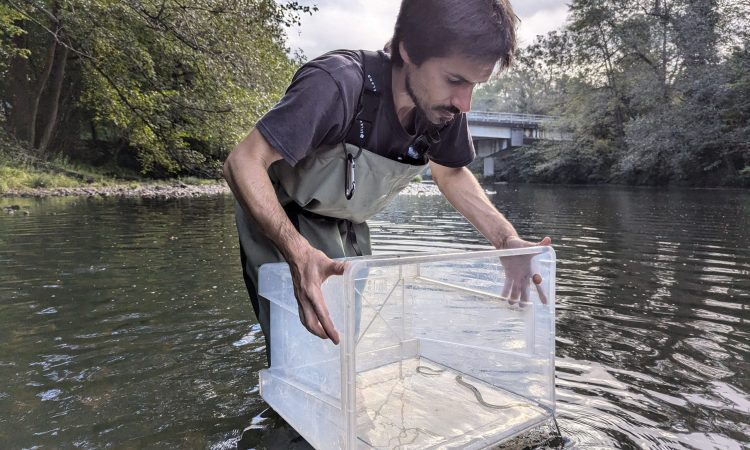 PXL_20240924_093325738