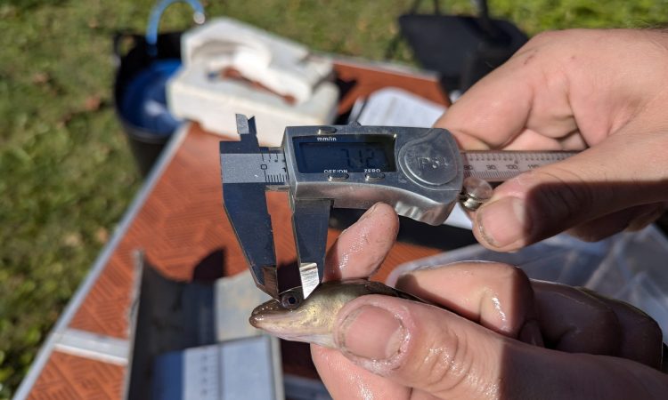 PXL_20240924_105443785