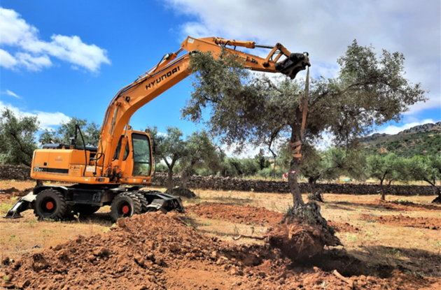 Environmental monitoring plan