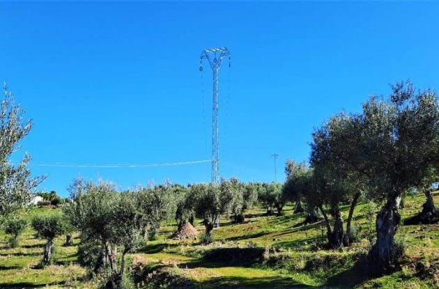 Environmental monitoring plan