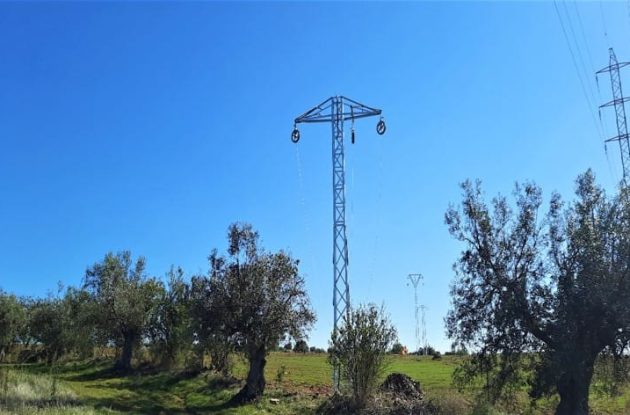 Environmental monitoring plan