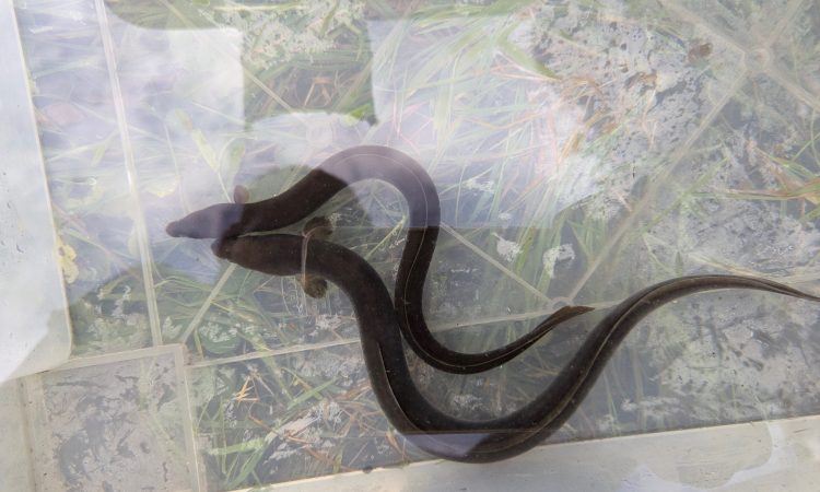 original_ac5f0fe0-6bfc-48a1-9936-a1340607bba2_PXL_20240924_083705902