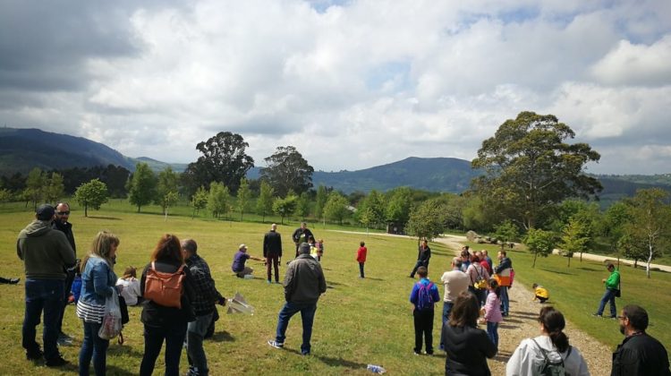 programas educacion ambiental