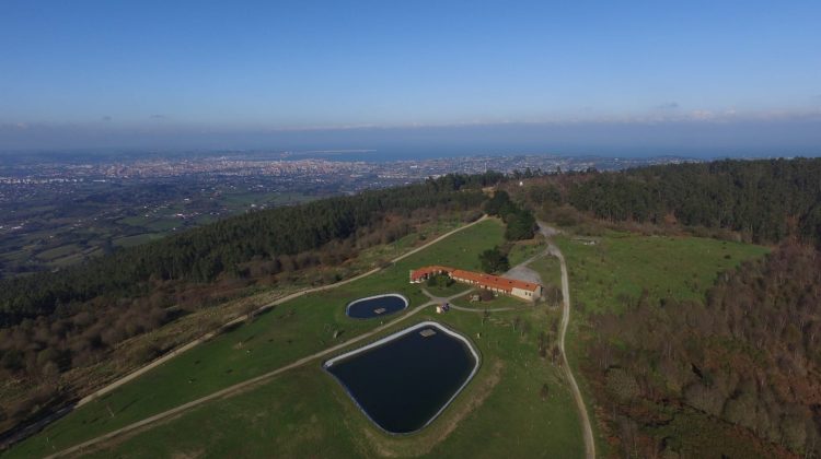 programas educacion ambiental
