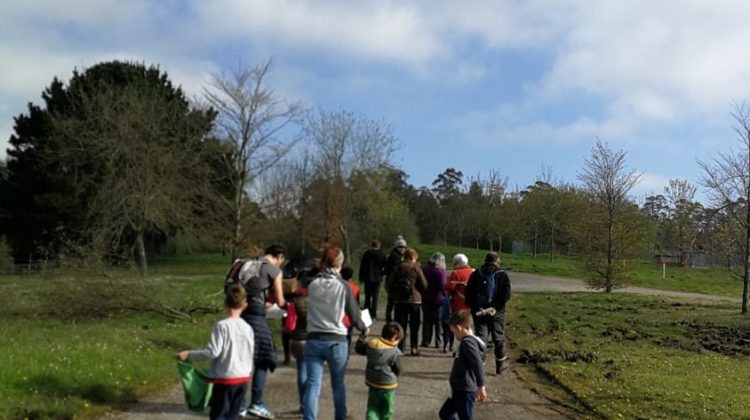 programas educacion ambiental
