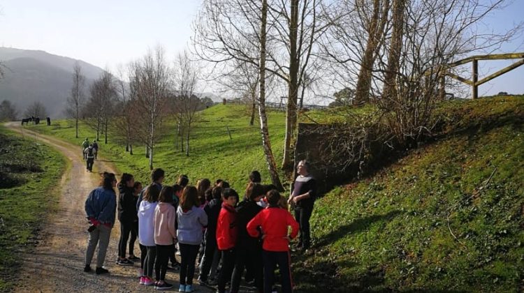 programas educacion ambiental