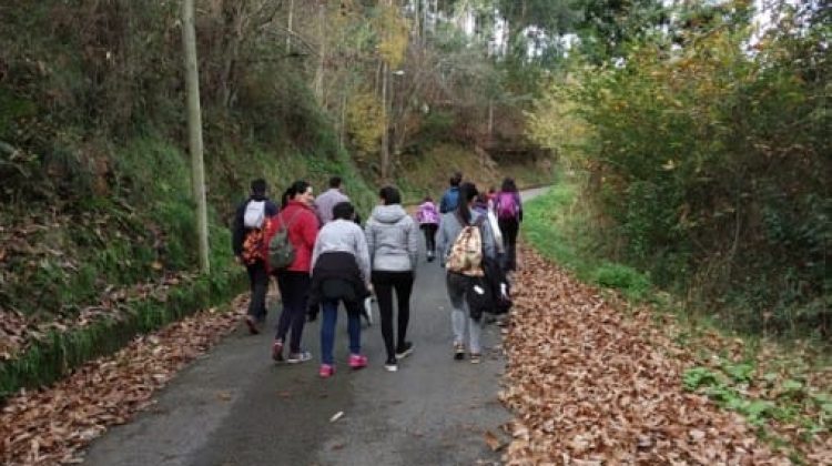 programas educacion ambiental