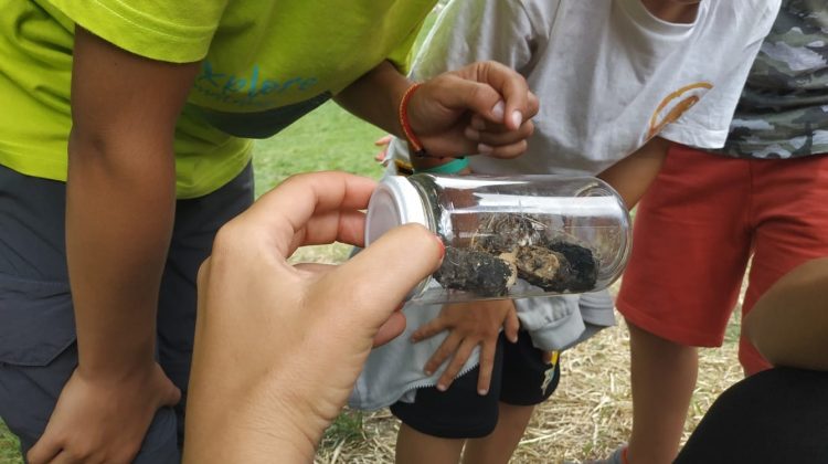 programas educacion ambiental