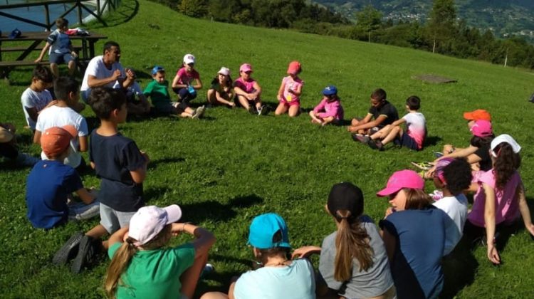 programas educacion ambiental