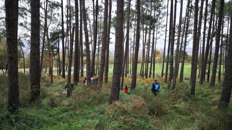 programas educacion ambiental