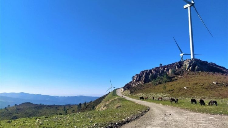 monitoring of wind farms at the north node